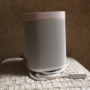 Sonos play 1 speaker